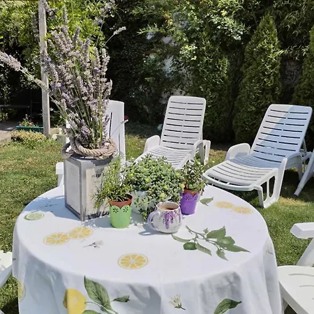 Zen Apartment Novi Sad