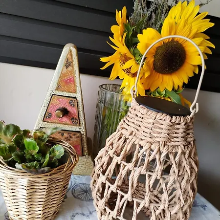 Appartement Zen Novi Sad