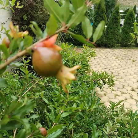 Appartement Zen Novi Sad