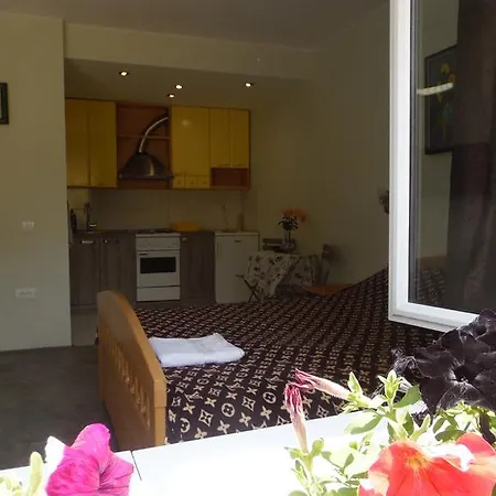 Zen Apartman Novi Sad