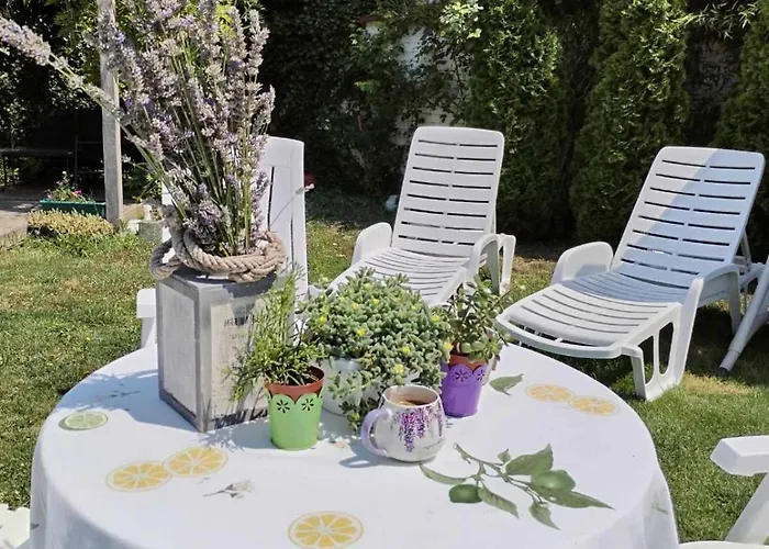 Zen Apartamento Novi Sad