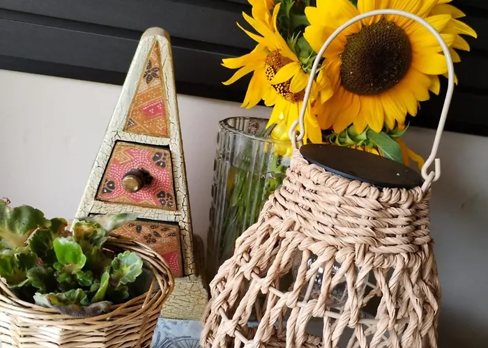 Apartamento Zen Novi Sad